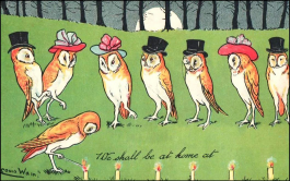  : 1904 .  ,   .  ..jpg