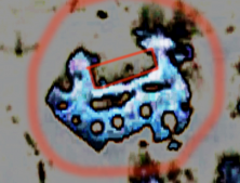  :      2011  .jpg