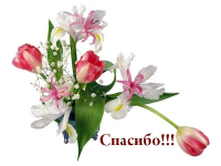  : 0168c953bcaf.jpg