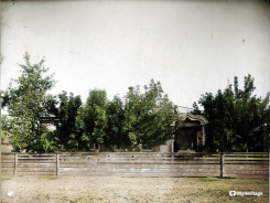 0010-Colorized.jpg, 832482 