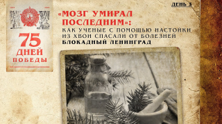   (5e91adbeb18aa_1586605502.jpg, 273750 )