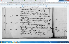 Прикрепленный файл: Девица из с.Пестравка.png