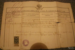 3031701002.jpg, 227007 