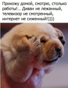  : .jpg