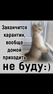 IMG-20200421-WA0003.jpg, 63110 