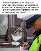 -.jpg, 125750 