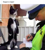 file (2).jpeg, 56485 
