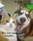 IMG-20190514-WA0000.jpg, 17504 