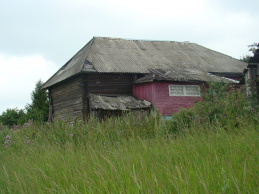  : DSC08950      .JPG