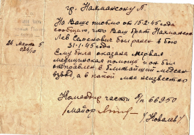  : Lev Nachmanson.jpg