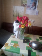  : IMG_20200425_094203.jpg