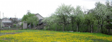  : DSCN8776.JPG