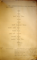  : A0AAD313-F94F-4643-AC16-5B8A247C90FF.jpeg