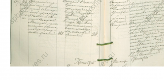    1900 .png, 1577162 