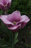 IMG_7536.JPG, 777453 