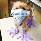  : .webp