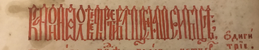 11C87F82-BFEF-4B3C-AAD4-279A321A7CF5.jpeg, 576857 