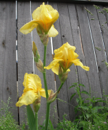 DSCN0119.JPG, 879940 