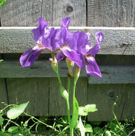 DSCN0129.JPG, 681010 