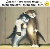  : 92528B64-EA36-49FA-ABDF-2587627A1553.jpg