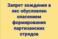 rb1WyL1qLYg.jpg, 51207 