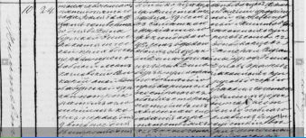  : 1850,, 89 _cr.jpg