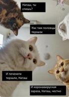  : Screenshot_20200709-032650~2.png
