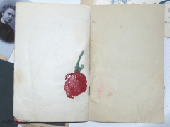 126963916 (8).jpg, 162166 