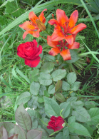  : DSCN0032.JPG
