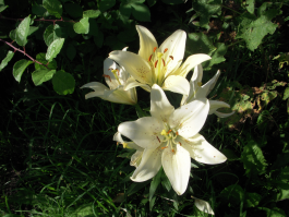 DSCN0082.JPG, 1908368 
