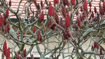 ������������� ����: 050107-42�.jpg