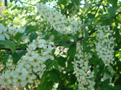 ������������� ����: DSC06558.JPG