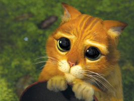  : shrek_cat_b.jpg