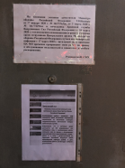  : IMG_3300.jpeg