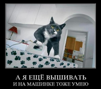  : IMG_20200828_155052.jpg