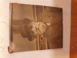 Benedetto L. Moscetti 1919.jpg, 2929126 
