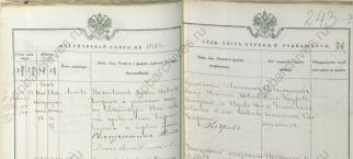           17.06.1882 125-392 .245 .242-43 ..jpg, 132639 