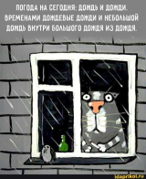  : IMG_0520.jpg