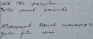  : praporshik_Wasil_n.jpg