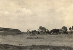 1mirovaya_14.jpg, 82913 