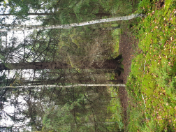  : 20200917_111204.jpg