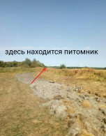  : S01004-050124(2).jpg