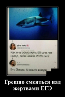  : image_2020-10-07_102252.png