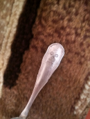  : IMG-20200920-WA0001.jpg