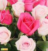  : flower3.jpg