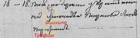  : file.jpg