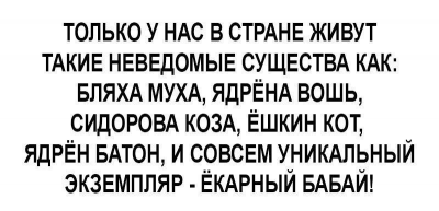  : .jpg