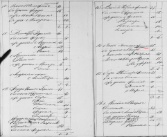  : 11-  ---_  1847.jpg