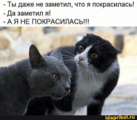 acd7474c9c623fe84304c6bea7489ebb44c815722094cc504cbcefd444041225_1.jpg, 45703 