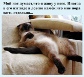  : file-1.jpg